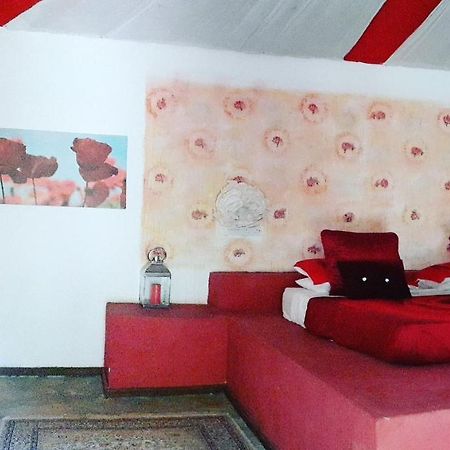Gecko Nature Lodge Home Of Swahili Divers The Best Dive Center And Famous Gecko Restaurant Verani ภายนอก รูปภาพ