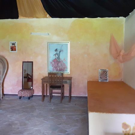 Gecko Nature Lodge Home Of Swahili Divers The Best Dive Center And Famous Gecko Restaurant Verani ภายนอก รูปภาพ
