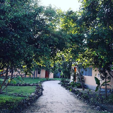 Gecko Nature Lodge Home Of Swahili Divers The Best Dive Center And Famous Gecko Restaurant Verani ภายนอก รูปภาพ