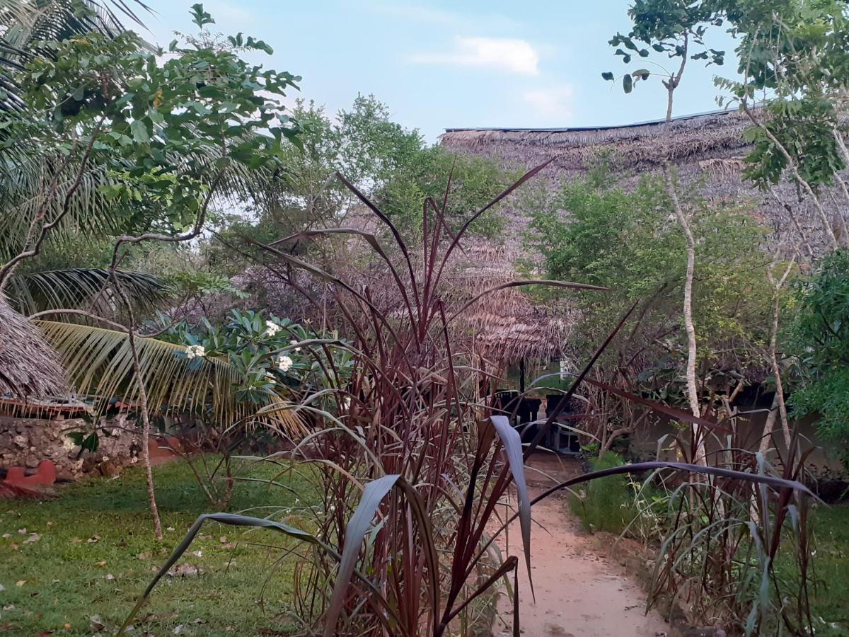 Gecko Nature Lodge Home Of Swahili Divers The Best Dive Center And Famous Gecko Restaurant Verani ภายนอก รูปภาพ
