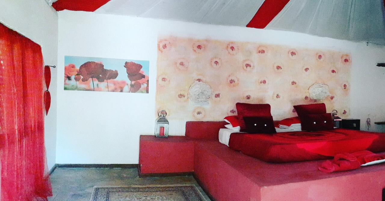 Gecko Nature Lodge Home Of Swahili Divers The Best Dive Center And Famous Gecko Restaurant Verani ภายนอก รูปภาพ