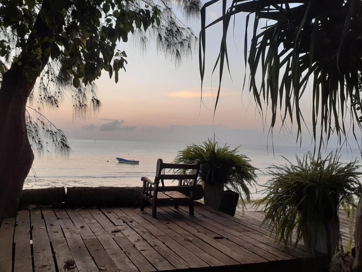 Gecko Nature Lodge Home Of Swahili Divers The Best Dive Center And Famous Gecko Restaurant Verani ภายนอก รูปภาพ