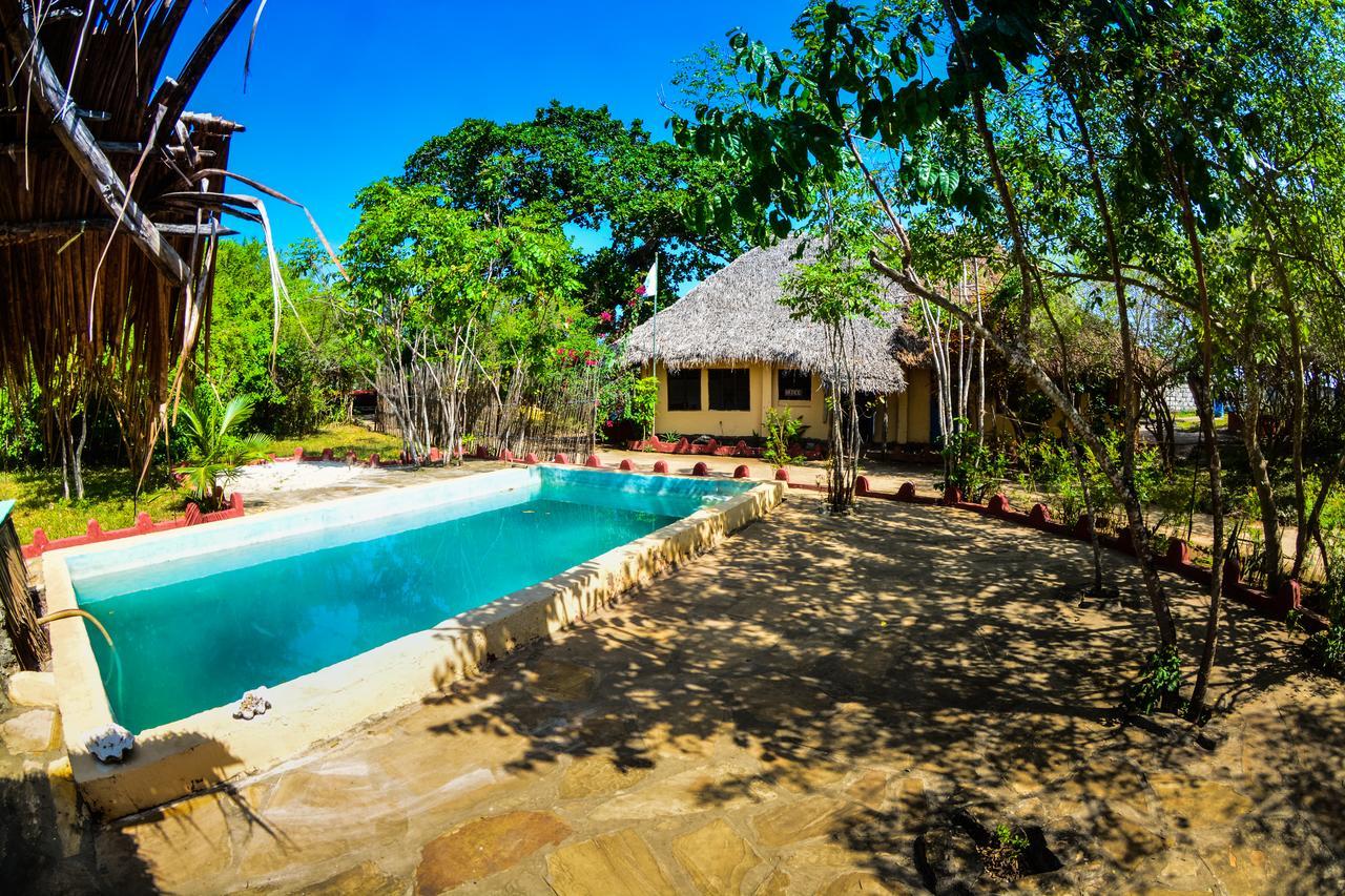 Gecko Nature Lodge Home Of Swahili Divers The Best Dive Center And Famous Gecko Restaurant Verani ภายนอก รูปภาพ