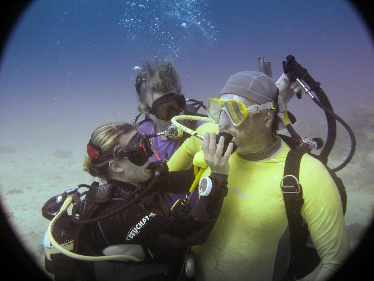 Gecko Nature Lodge Home Of Swahili Divers The Best Dive Center And Famous Gecko Restaurant Verani ภายนอก รูปภาพ