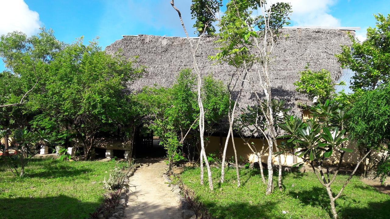 Gecko Nature Lodge Home Of Swahili Divers The Best Dive Center And Famous Gecko Restaurant Verani ภายนอก รูปภาพ