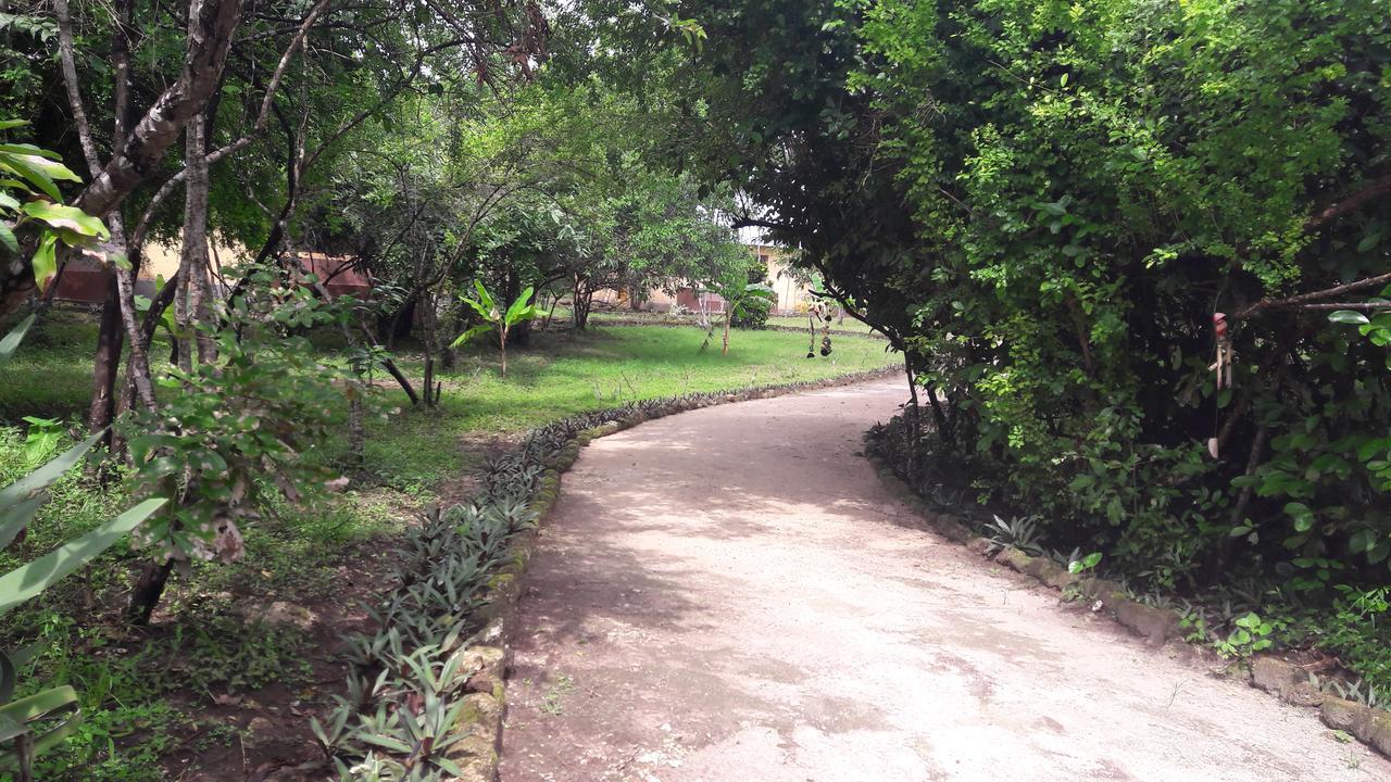 Gecko Nature Lodge Home Of Swahili Divers The Best Dive Center And Famous Gecko Restaurant Verani ภายนอก รูปภาพ