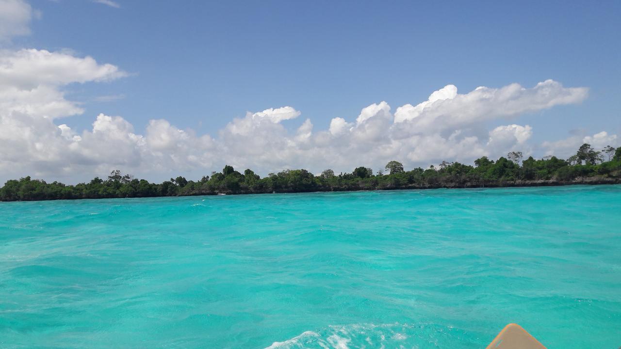 Gecko Nature Lodge Home Of Swahili Divers The Best Dive Center And Famous Gecko Restaurant Verani ภายนอก รูปภาพ