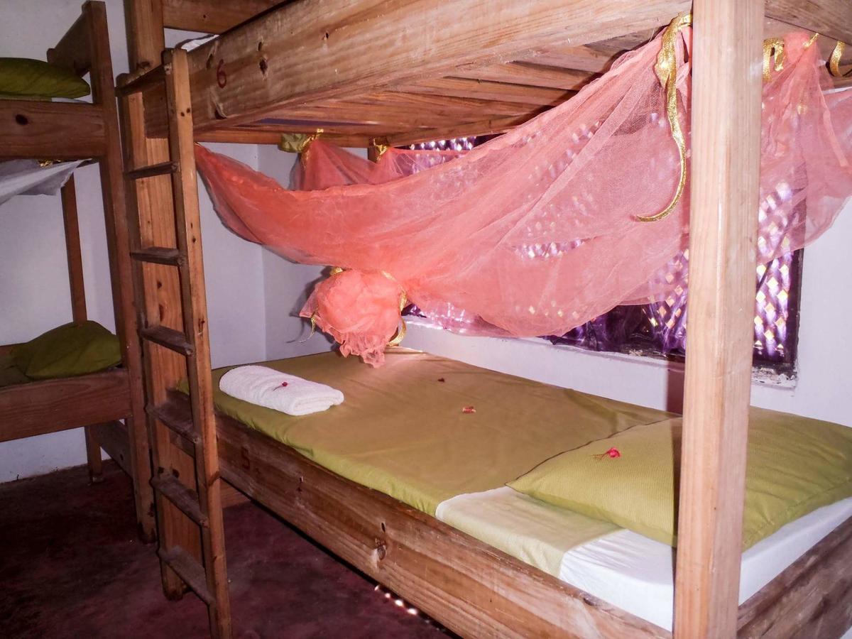 Gecko Nature Lodge Home Of Swahili Divers The Best Dive Center And Famous Gecko Restaurant Verani ภายนอก รูปภาพ